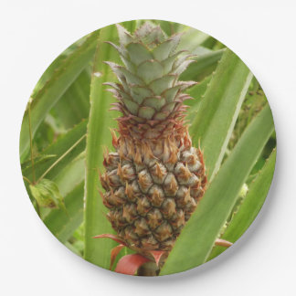 Wild Pineapple Tropical Fruit in Nature Paper Plate