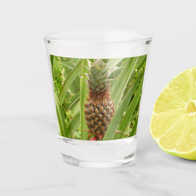 Wild Pineapple Tropical Fruit in Nature Shot Glass (Front)