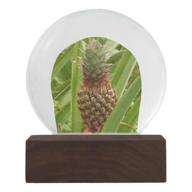 Wild Pineapple Tropical Fruit in Nature Snow Globe (Front)