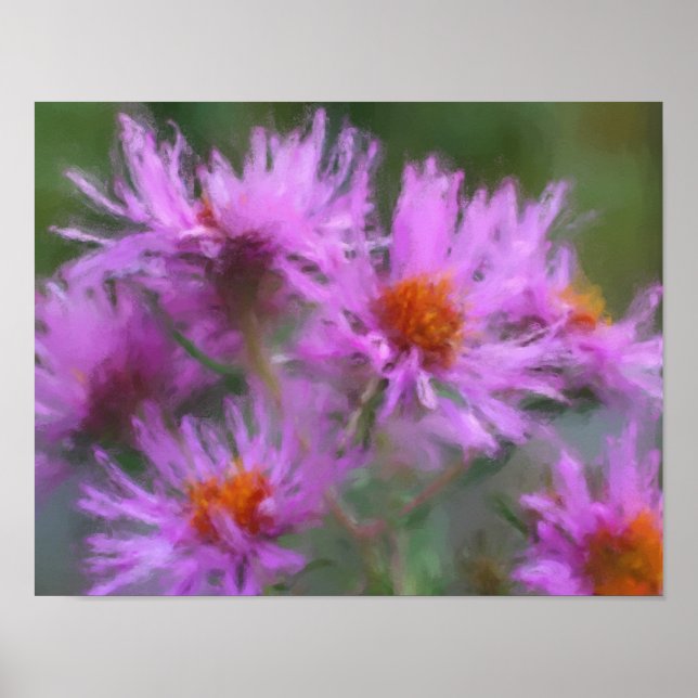 Wild Pink Asters Flower Art Poster (Front)