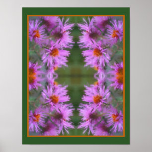 Wild Pink Asters Flower Art  Poster