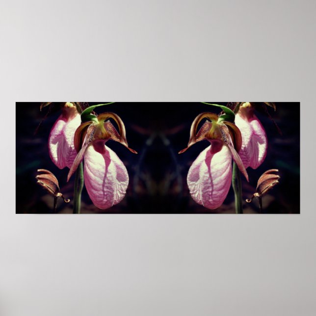Wild Pink Lady Slipper Orchid Pair Mirror Poster (Front)