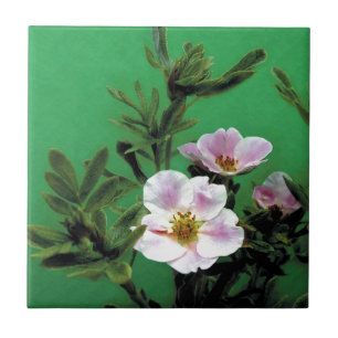 wild pink rose flowers in green, Elegant Tile