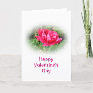 wild pink rose flowers, Valentine's Day Holiday Card