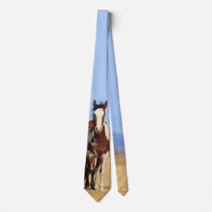 Wild Pinto Horse Tie