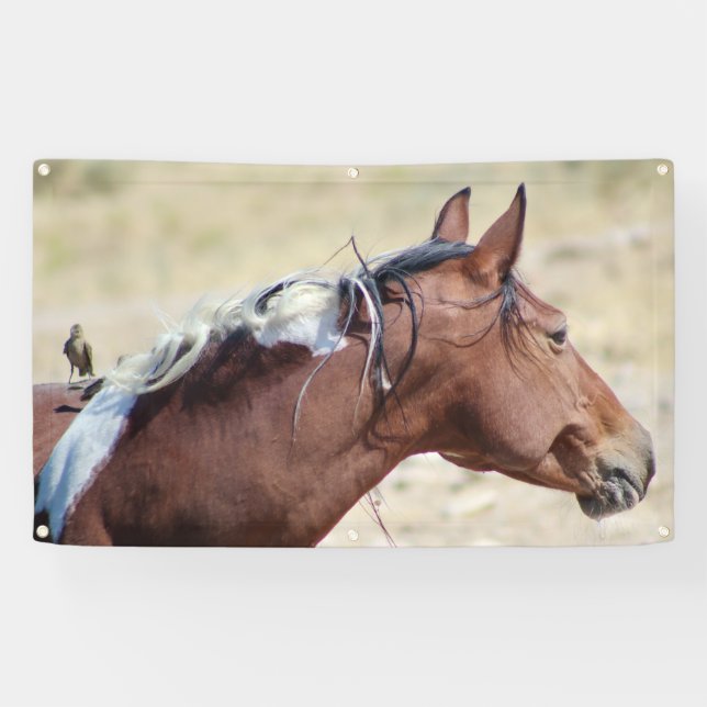 WILD PINTO WITH BIRD BANNER WITH GROMMET (Horizontal)