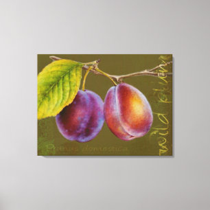 Wild plum - Prunus domestica canvas art (olive)