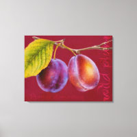 Wild plum - Prunus domestica canvas art (rich red)