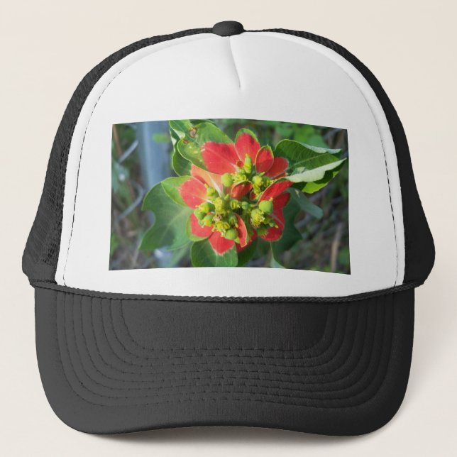 wild Poinsettia Trucker Hat (Front)