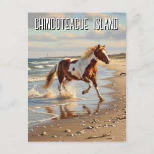 Wild Pony in Chincoteague Island Virginia Travel Postcard