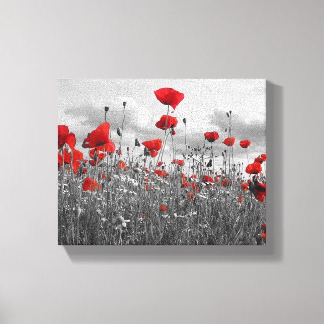 Wild Poppies in Black, White and Red Canvas Print (Front)