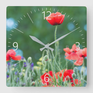 Wild poppies square wall clock