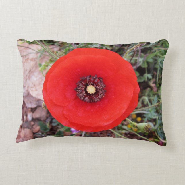 Wild Poppy Accent Pillow (Back)