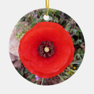 Wild Poppy Ceramic Tree Decoration