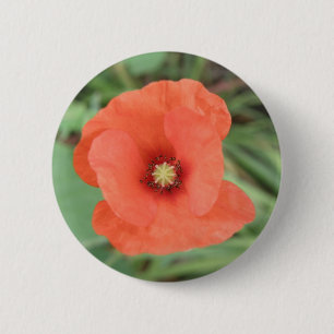 Wild Poppy Flower Button