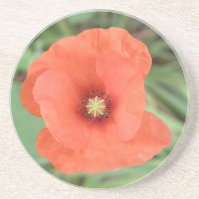 Wild Poppy Flower Coasters (Front)