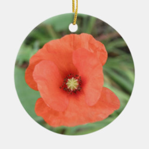 Wild Poppy Flower Ornaments