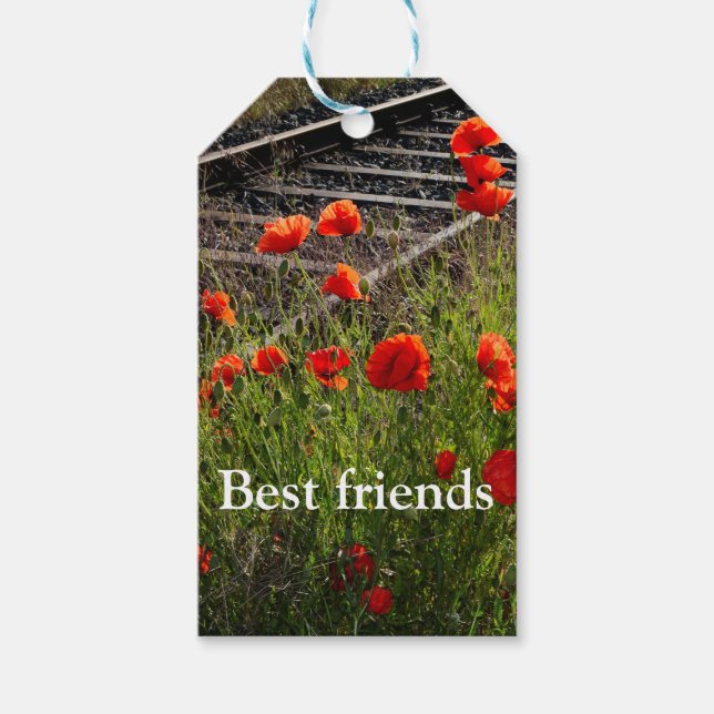 Wild poppy          gift tags (Front)