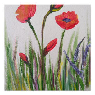 Wild poppy poster
