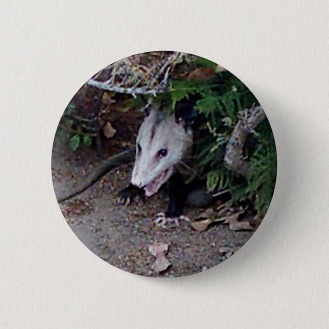 Wild Possum 6 Cm Round Badge (Front)