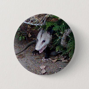 Wild Possum 6 Cm Round Badge