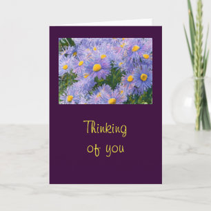 Wild Purple Asters "Thinking of You" Greeting Card