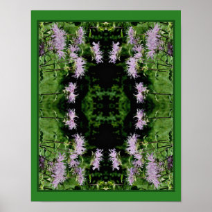 Wild Purple Bee Balm Abstract Poster