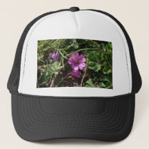 Wild Purple Cranesbill