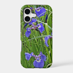 Wild Purple Iris