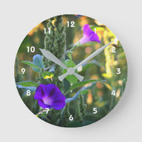 Wild Purple Morning Glory Flowers 