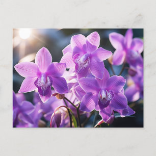 WILD PURPLE ORCHID FROM DOMINICA POSTCARD