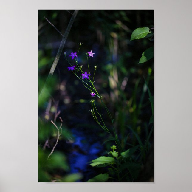 Wild Purple Water Forest Flowers Fern Poster (Front)
