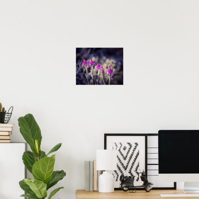 Wild Pyramidal Orchids in Malta Poster (Home Office)
