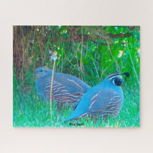 Wild Quail Jigsaw Puzzle