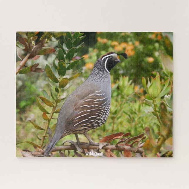 Wild Quail Jigsaw Puzzle (Horizontal)