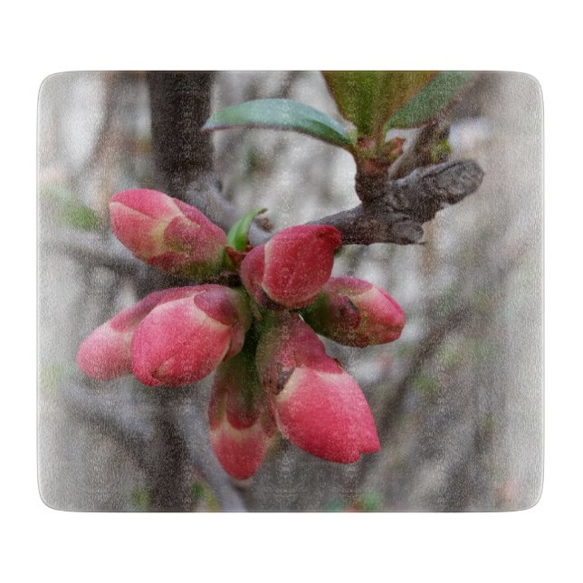 wild quince blooming cutting board (Front)