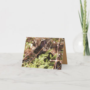 Wild Rabbit Blank Note Card