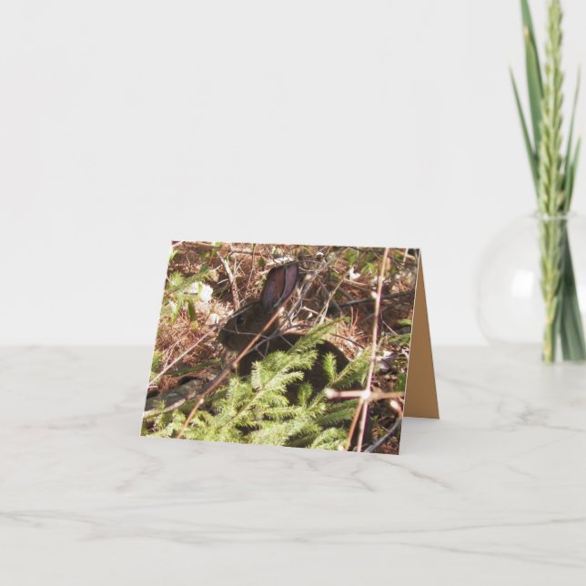 Wild Rabbit Blank Note Card (Front)