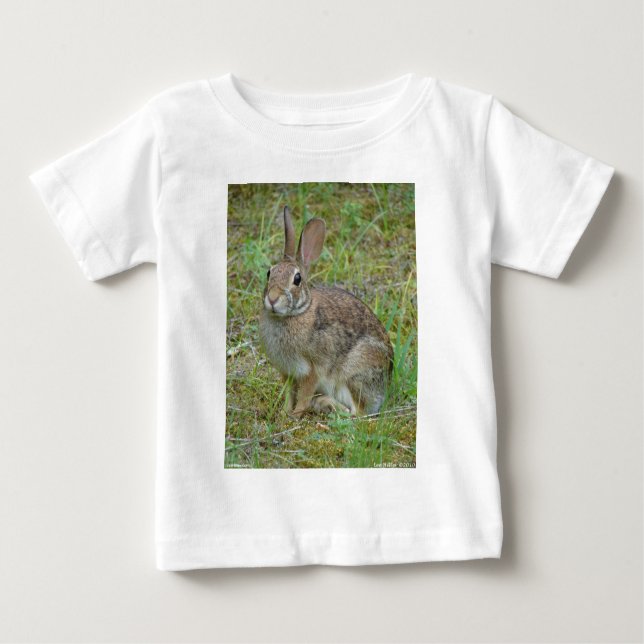 Wild Rabbit Eastern Cottontail Apparel and Gifts Baby T-Shirt (Front)