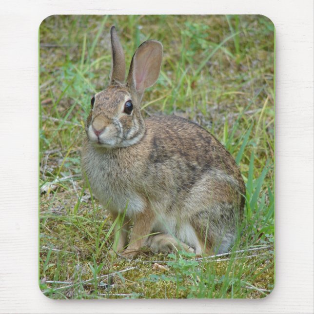 Wild Rabbit Eastern Cottontail Apparel and Gifts Mouse Pad (Front)