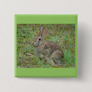 Wild Rabbit Eastern Cottontail II Apparel & Gifts 15 Cm Square Badge