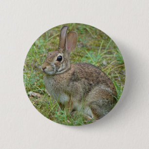 Wild Rabbit Eastern Cottontail II Apparel & Gifts 6 Cm Round Badge