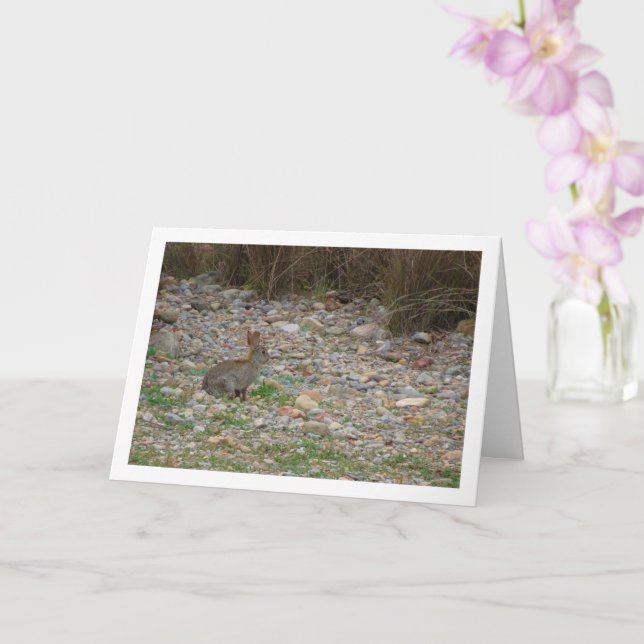 Wild Rabbit in Countryside Card (Orchid)