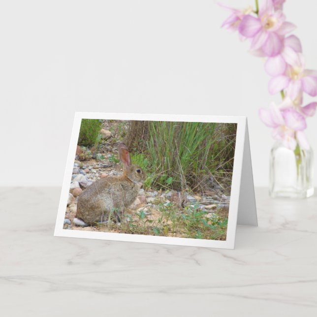 Wild Rabbit in Countryside Card (Orchid)