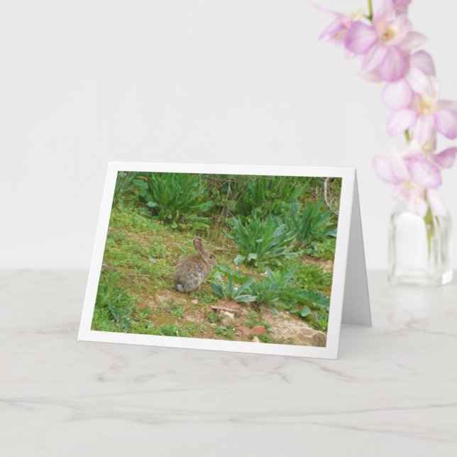 Wild Rabbit in Countryside Card (Orchid)