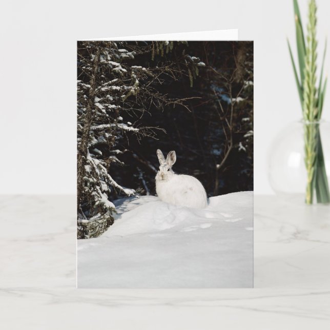 Wild Rabbit In Snow Holiday Card (Front)
