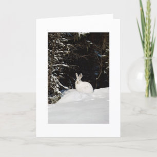 Wild Rabbit In Snow Xmas Holiday Christmas Card