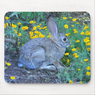 Wild Rabbit in Yellow Flowers Mouse Pad