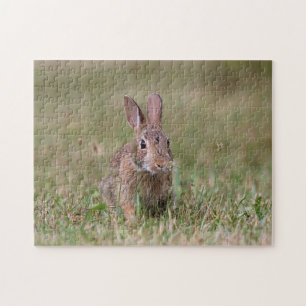 Wild rabbit jigsaw puzzle