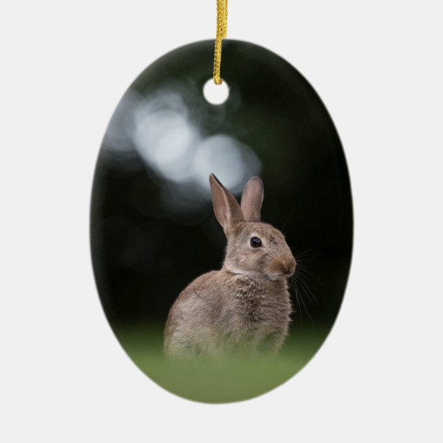 Wild Rabbit Nature Photo Ceramic Tree Decoration (Front)